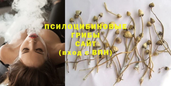 apvp Кинешма