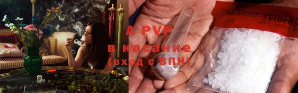 тгк Касимов