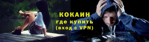 тгк Касимов