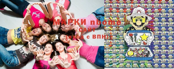 тгк Касимов